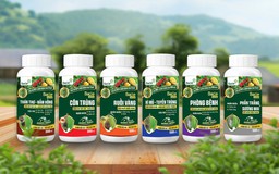 Bacte - Giải pháp sinh học thuần Việt cho nền nông nghiệp bền vững