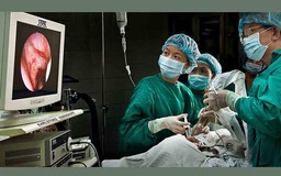 Những khoảnh khắc đẹp của người phụ nữ Việt Nam qua ảnh