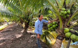 Mặt hàng nào sẽ hưởng lợi khi Mỹ miễn thuế đối ứng?