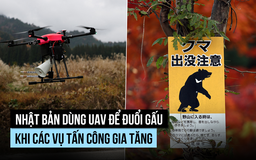 UAV sủa, bắn pháo hoa để đuổi gấu tại Nhật Bản