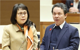 Áp ngưỡng thuế 200 triệu, đại biểu lo hộ kinh doanh 'rất thiệt thòi'