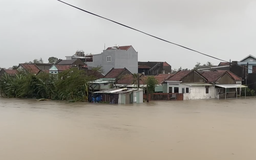 Đắk Lắk: Mưa lũ gây ngập sâu, cấm lưu thông trên QL1, QL25, QL29 và QL19C