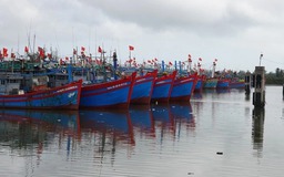 Đề xuất chủ tịch xã có quyền phạt tới 500 triệu đối với vi phạm trên biển, đảo