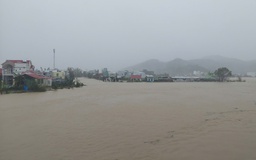 Vỡ đê sông Luật Lễ, Gia Lai sơ tán khẩn cấp khoảng 1.000 hộ dân