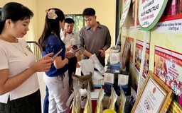 Liên kết tiêu thụ, nâng tầm sản phẩm nông nghiệp Hà Nội
