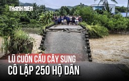 Cận cảnh cầu Cây Sung ở Quảng Ngãi bị lũ cuốn trôi, chia cắt 250 hộ dân