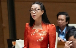 'Miễn phí sách giáo khoa, nhưng học sinh bị yêu cầu mua sách nâng cao, tham khảo'