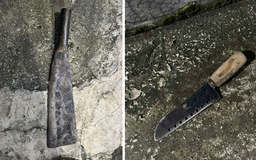 TP.HCM: Người dân bắt giữ 2 thiếu niên mang dao đi trộm xe máy