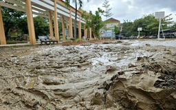 Khánh Hòa: Trường học vật lộn với bùn, nước yếu, kêu gọi khẩn tình nguyện viên