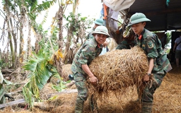 Tin tức đặc biệt trên báo in Thanh Niên 26.11.2025