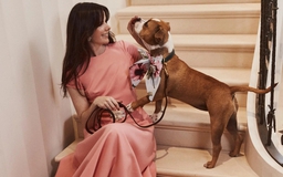 Chọn gam màu chữa lành - 'chiêu' mới để giảm căng thẳng