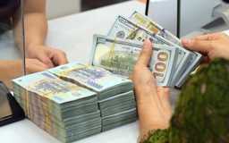 Giá USD hôm nay 27.11.2025: Ngoại tệ cùng lên giá