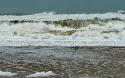 Sóng cao 2 m trước bão số 15: Đắk Lắk ban lệnh cấm biển, huy động dọn rác