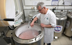 WHO lần đầu ban hành hướng dẫn toàn cầu chống vô sinh