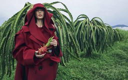 Lần đầu tiên trái thanh long 'bước vào' thời trang