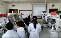 Học sinh tham gia thi khởi nghiệp chịu trách nhiệm về quyền sở hữu trí tuệ