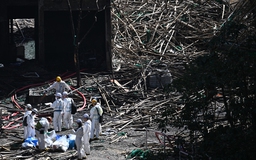 Cháy chung cư Hồng Kông: Tìm thấy thêm nhiều thi thể, số người chết tăng lên 146