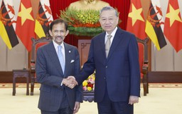 Thương mại Việt Nam - Brunei tăng 165%, về đích sớm mục tiêu 500 triệu USD