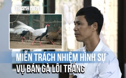 Cần phải rút kinh nghiệm vụ phạt người nuôi gà lôi trắng 6 năm tù