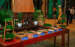 Thi khởi nghiệp về trà Việt