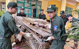 Đà Nẵng cho học sinh nghỉ học từ chiều mai để ứng phó bão Kalmaegi