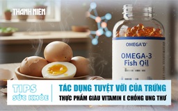Bản tin sức khỏe 6.11: Tác dụng tuyệt vời của trứng | Thực phẩm giàu vitamin E chống ung thư