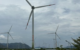 Nhà đầu tư điện gió kiến nghị hạn chế cắt giảm công suất