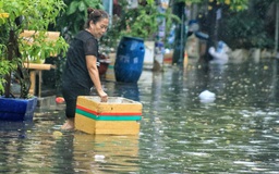 Phường lún nhanh nhất TP.HCM 'chìm' gần 1 mét, lãnh đạo nói gì?