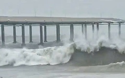 Khánh Hòa: Cưỡng chế người dân trên lồng bè vào bờ tránh bão Kalmaegi