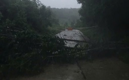 Bão Kalmaegi đổ bộ: Một người dân tử vong do nhà sập