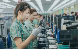 Hơn 170 dự án FDI 'rót' gần 11,6 tỉ USD vào ngành bán dẫn Việt Nam