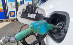 Giá xăng dầu hôm nay 7.11.2025: Đồng loạt giảm