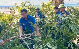 Thanh niên dậy sớm, giúp dân dọn dẹp sau bão Kalmaegi