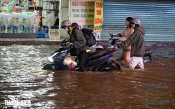 Hơn 4 giờ 'sống' cùng triều cường vượt lịch sử trên đường Phạm Hữu Lầu, TP.HCM