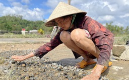 Rốn lũ Đắk Lắk sau bão dữ: Cả làng oằn mình dọn rác, khôi phục cuộc sống