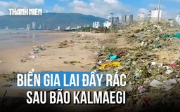 Sau bão Kalmaegi, bãi biển Quy Nhơn ngập trong rác thải