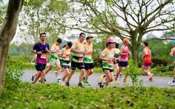 Trang An Marathon 2025 lập kỷ lục hơn 10.000 VĐV tranh tài 