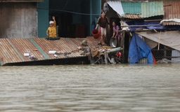 Không khí lạnh khiến miền Bắc 'rét ẩm', miền Trung mưa lớn 250 mm