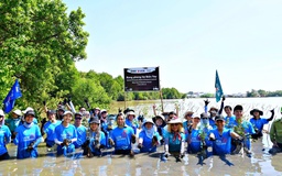 UOB Việt Nam khởi động trồng 10.000 cây rừng phòng hộ Cà Mau