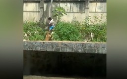 Leo vào chuồng sư tử, thanh niên bị vồ chết tại vườn thú ở Brazil