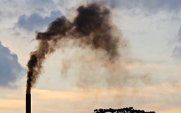 TP.HCM dừng đề án di dời cơ sở công nghiệp khỏi nội thành