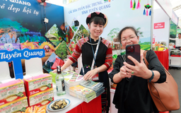 TP.HCM mở tuần lễ đặc sản vùng miền, khuyến mại lớn để người dân sắm Tết sớm