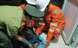 TP.Huế: Công nhân điện lực cứu hộ động vật quý hiếm trong đêm