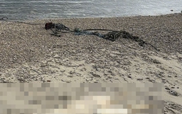 Một thi thể không còn nguyên vẹn trôi dạt vào bờ biển Quảng Ngãi