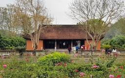 Tinh tú đất Việt: Nghề y cứu người trên hết