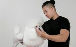 Làm đẹp thú cưng ở TP.HCM: Sáng đi làm, chiều chăm chó, tối học cắt tỉa