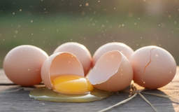 Chuyên gia chỉ cách ăn trứng tốt nhất cho sức khỏe