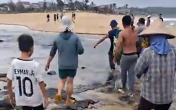 Quảng Ngãi: Người đàn ông tử vong khi đang lặn bắt tôm nhí