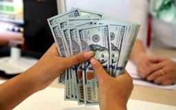 Giá USD hôm nay 13.12.2025: Ngân hàng giảm giá mua đô