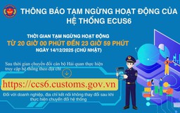 Hỏa tốc thông báo tạm ngừng hệ thống thông quan điện tử